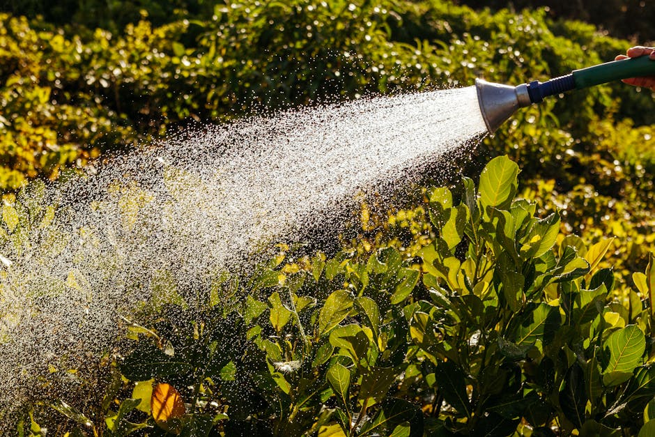 Close-up of a garden hose watering sunlit green plants, highlighting the fresh leaves.