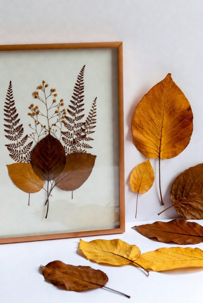 Elegant framed pressed leaves and ferns in slim wooden frame with soft neutral mat, beautiful nature-inspired botanical art for desk decoration.
